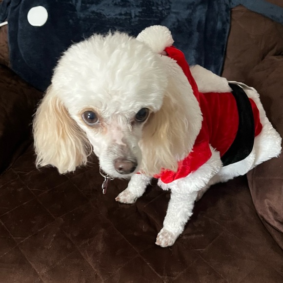 Choose Joy! - Picture 3 of 3